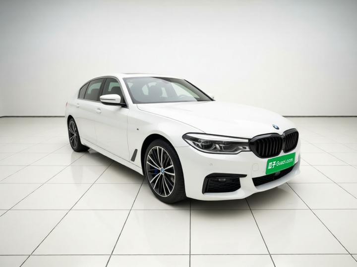 5 Series 2020 530Li xDrive M Sport Package photo 3