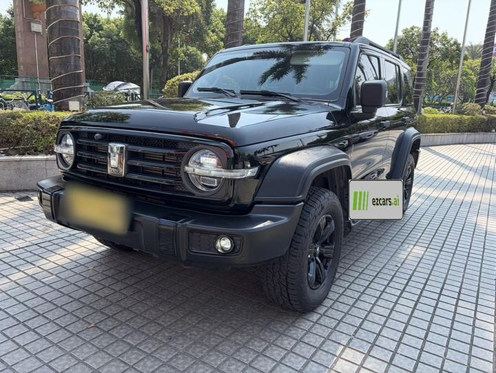 300 2021 Off-road 2.0T Conqueror