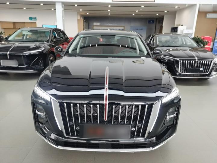 H5 PHEV 2025 130 photo 2