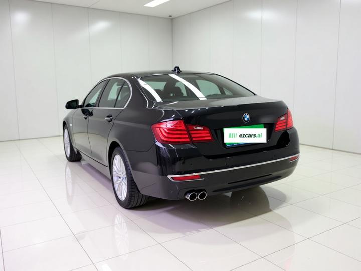 5 Series 2017 525Li Luxury Design Package photo 4