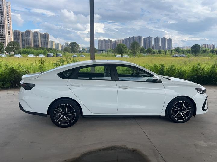 2024 Binrui COOL 1.5T DCT photo 3