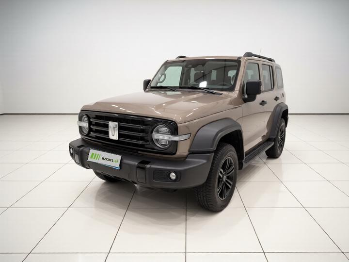 300 2021 Off-road 2.0T