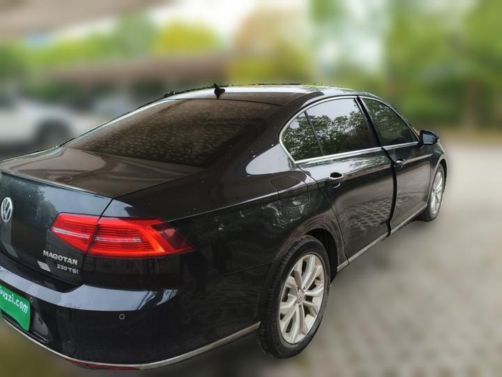 Magotan 2019 330TSI DSG Luxury China VI photo 6