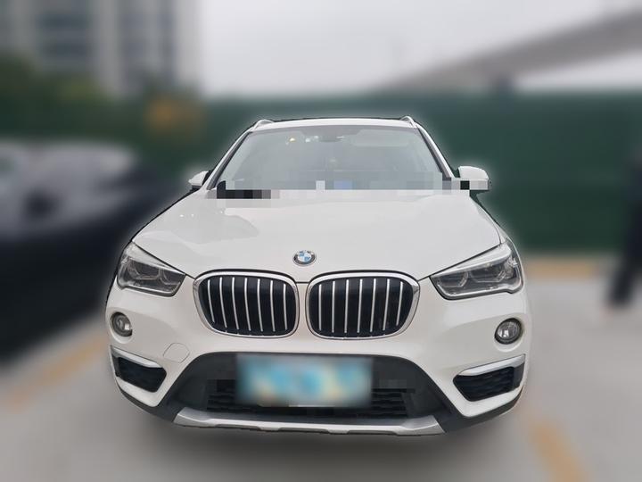 X1 2019 sDrive18Li Exclusive photo 2