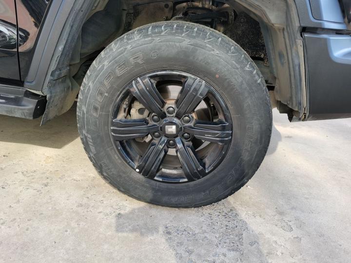 300 2021 Off-road 2.0T Conqueror photo 8