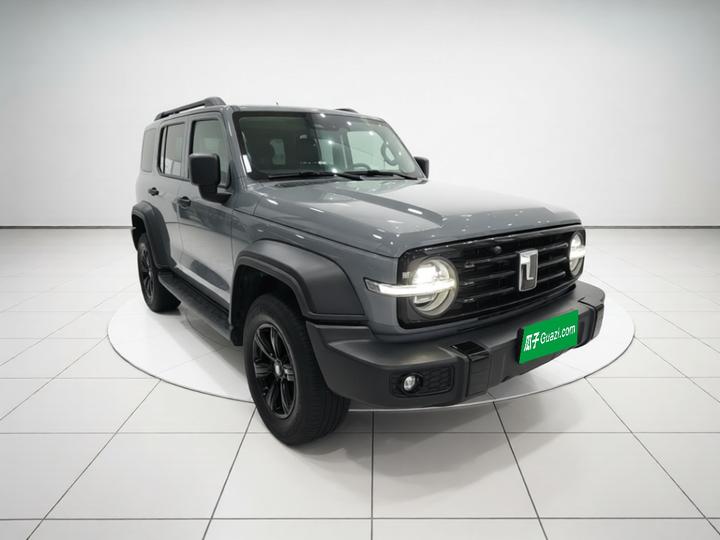 300 2024 2.0T Conqueror photo 3