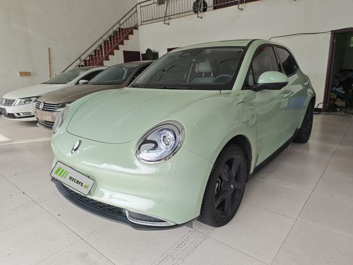 Good Cat 2024 401km Luxury