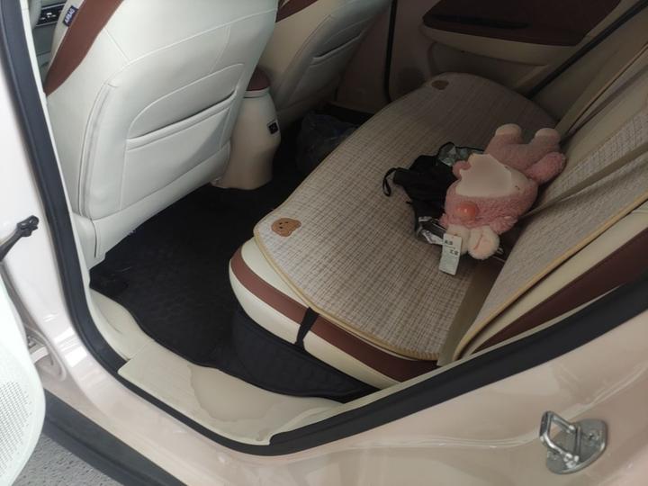 Good Cat 2022 400km Standard Range Luxury NCM photo 4