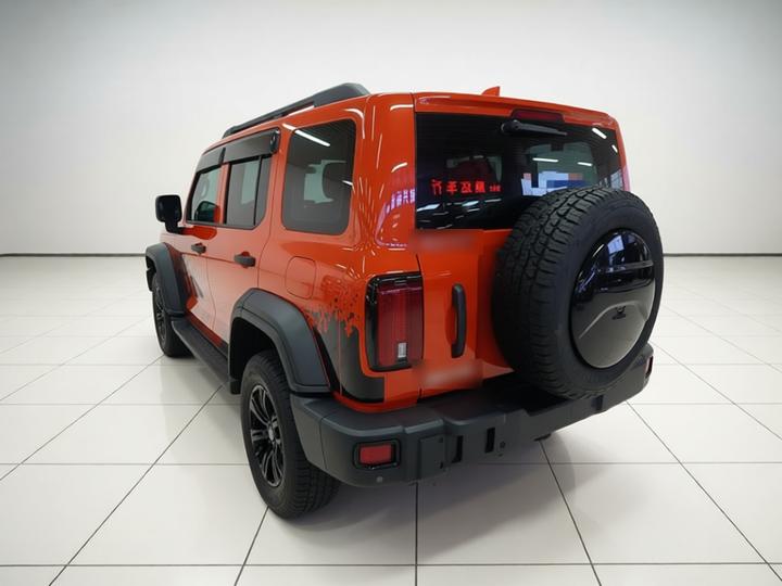 300 2021 Off-road 2.0T Conqueror photo 4