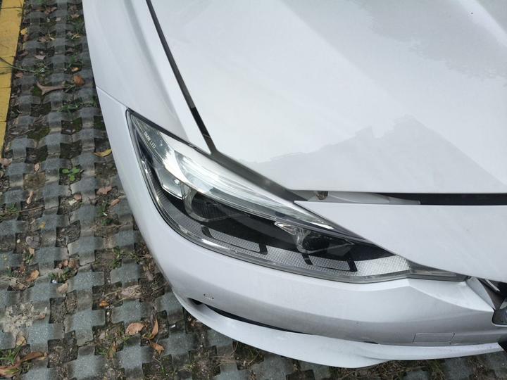 3 Series 2019 320Li Fashion photo 7