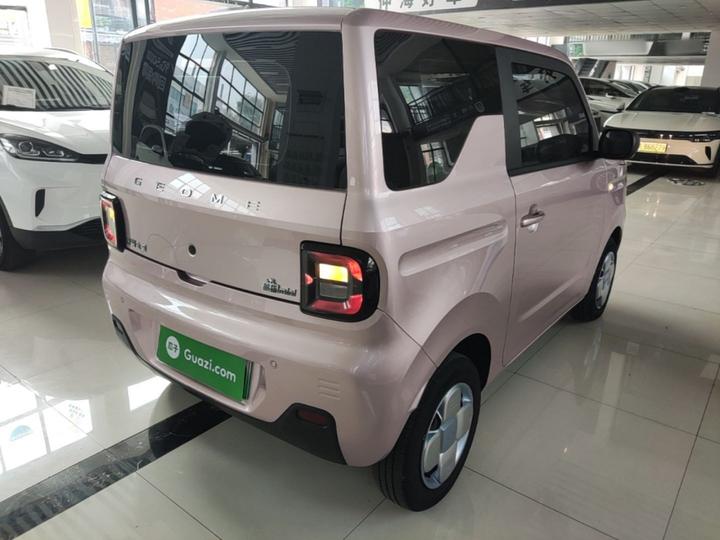 2023 Panda mini 200km Endurance Bear photo 4