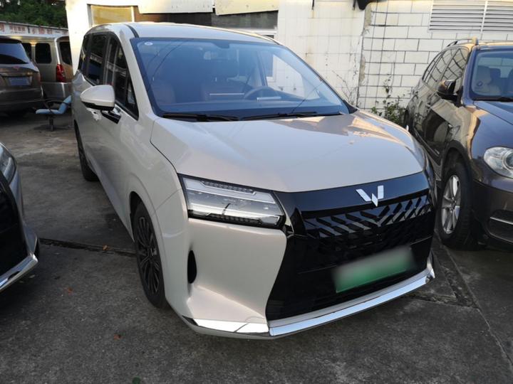 730 EV 2025 125km Luxury photo 3