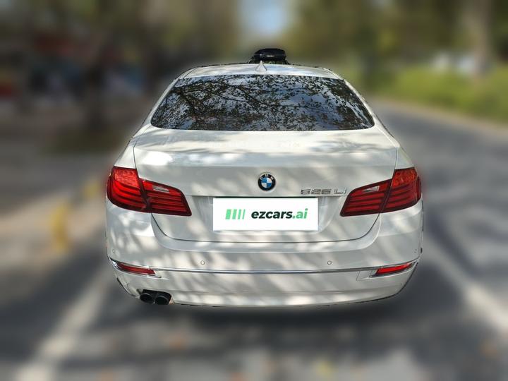 5 Series 2017 525Li Luxury Design Package photo 5