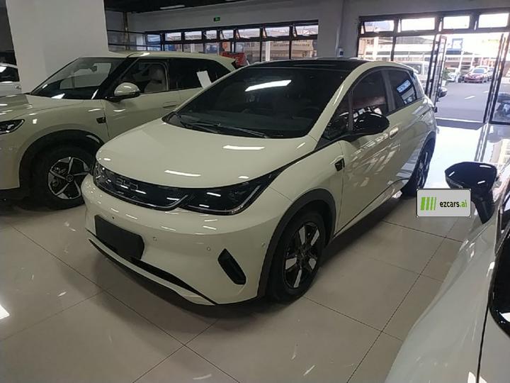 Dolphin 2025 ADAS 410km Fashion