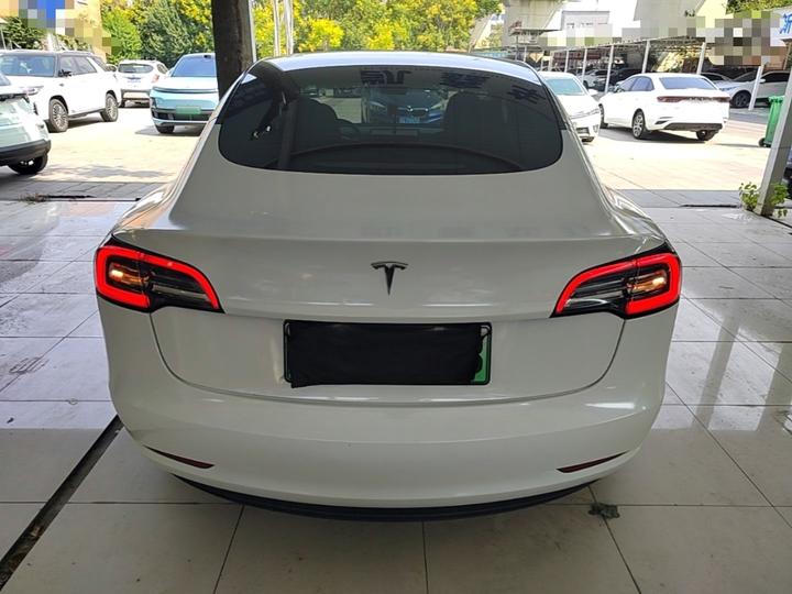Model 3 2021 Facelift Standard Range RWD Upgraded 3D1 photo 3