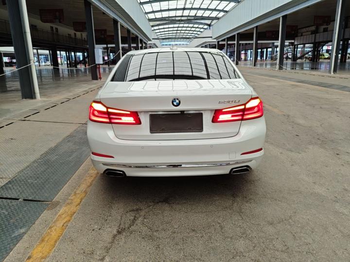 5 Series 2018 530Li Leading Luxury photo 3
