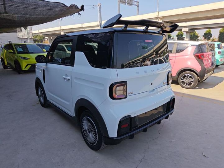 2024 200km Panda photo 4