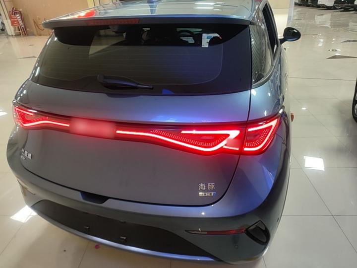 Dolphin 2025 ADAS 410km Fashion photo 5
