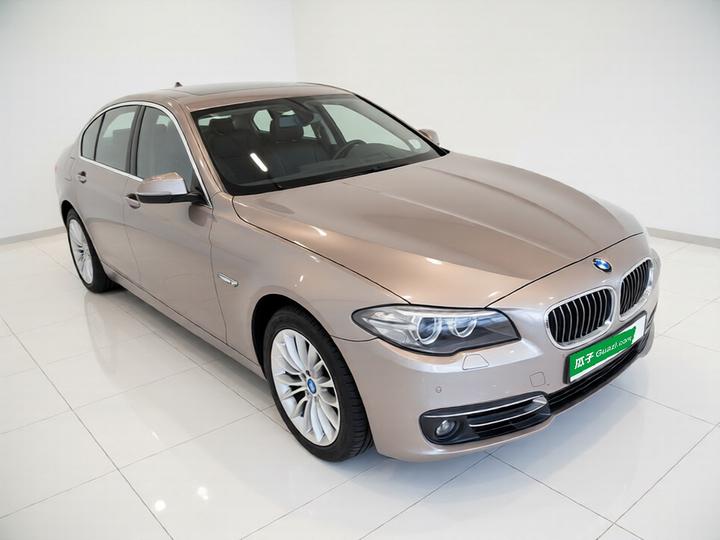 5 Series 2014 525Li Luxury Design Package photo 3
