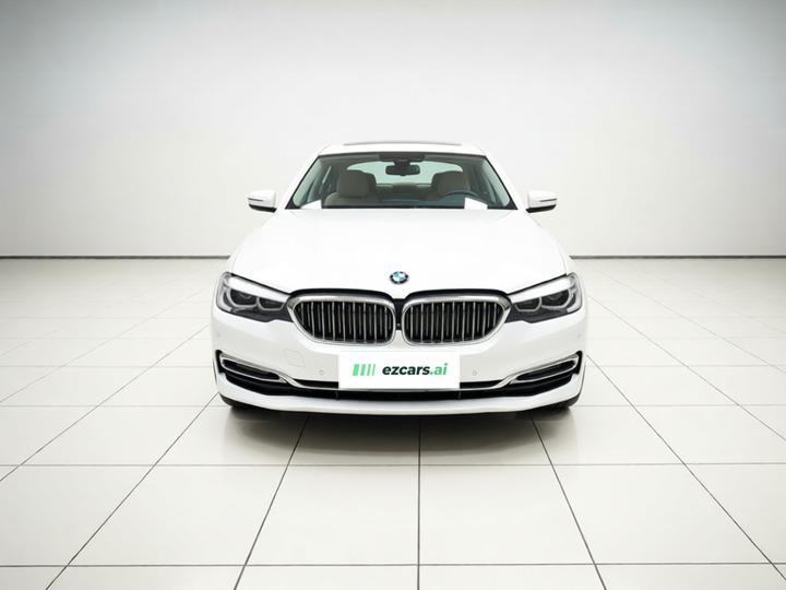 5 Series 2018 530Li Leading Luxury photo 2