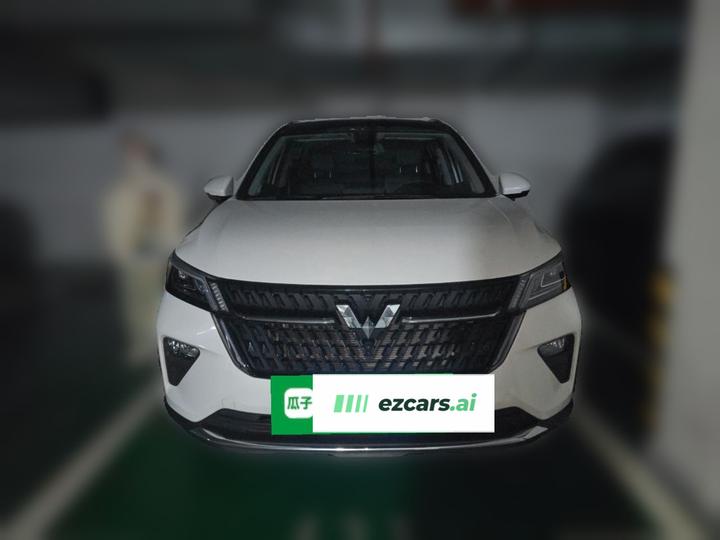 Wuling 2022 2.0L DHT photo 2