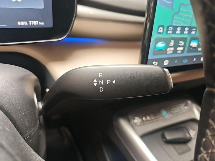 Dolphin 2025 ADAS 410km Fashion photo 5