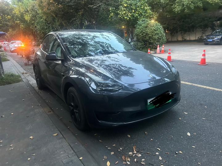 Model Y 2024 RWD photo 6