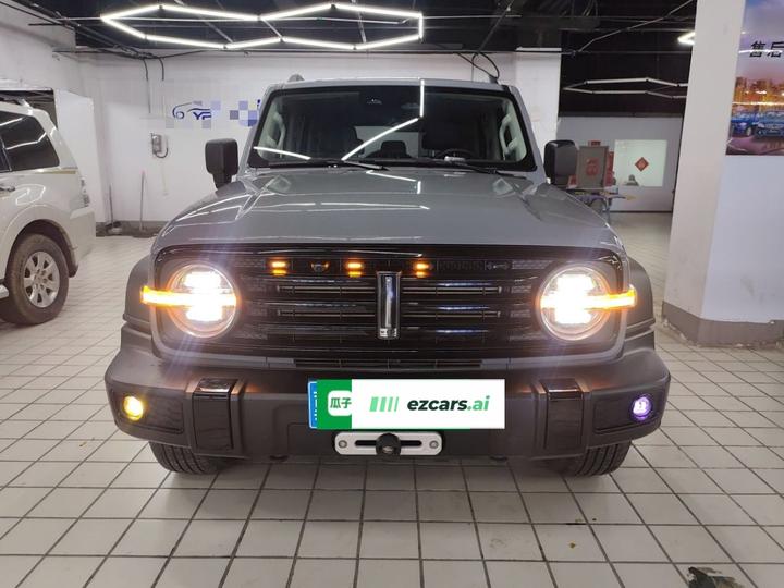 300 2021 Off-road 2.0T Conqueror photo 2