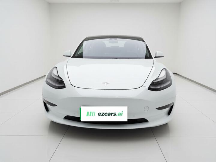 Model 3 Imported 2019 Performance AWD photo 2