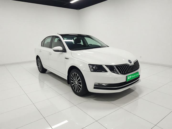 Octavia 2019 TSI230 DSG Luxury China V photo 3