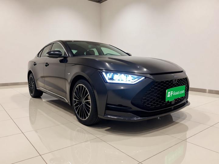 Han 2020 DM AWD Performance Luxury photo 3