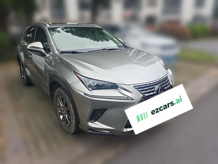 NX 2020 300h FWD China VI photo 3