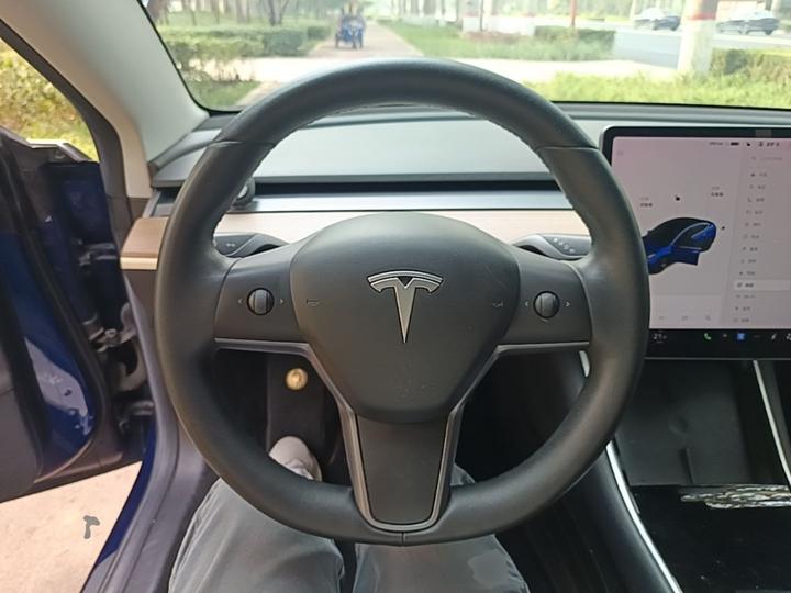 Model 3 Imported 2019 Standard Range RWD Upgraded photo 6