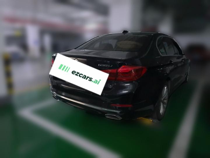 5 Series 2018 530Li Leading Luxury photo 6