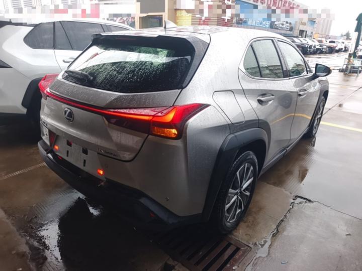 UX EV 2020 300e photo 6