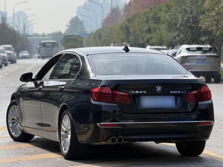 5 Series 2017 525Li Luxury Design Package photo 7