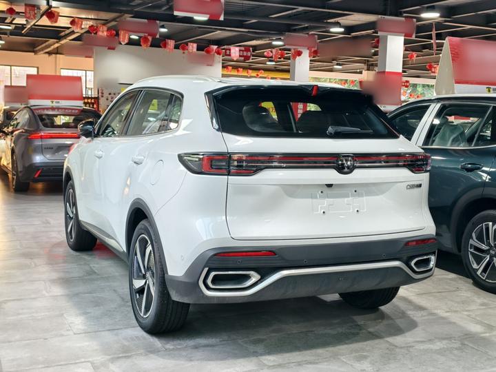 CS55PLUS PHEV 2026 125km photo 6