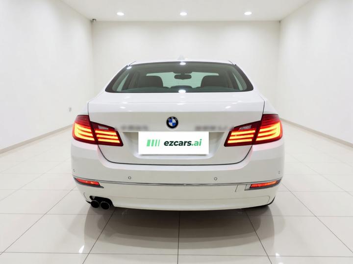 5 Series 2017 525Li Luxury Design Package photo 5