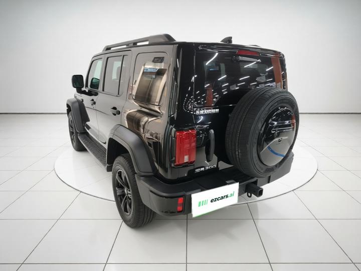 300 2024 2.0T Conqueror photo 4