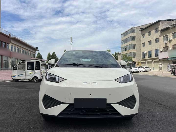 Seagull 2025 ADAS 305km photo 2