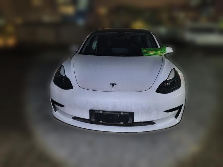 Model 3 2022 RWD photo 2