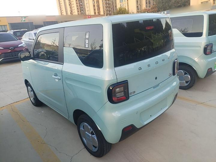 2024 Panda mini 200km Endurance Bear photo 4