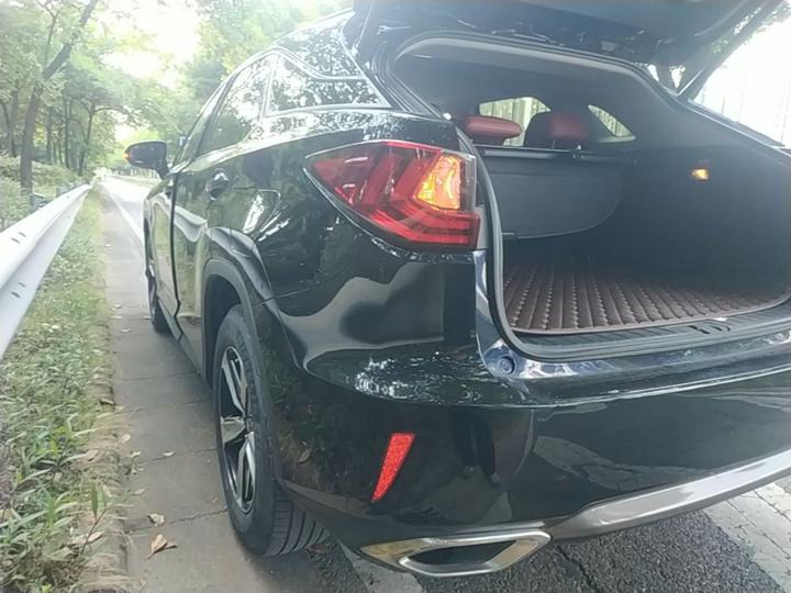 RX 2016 300 RWD Comfort China V photo 4