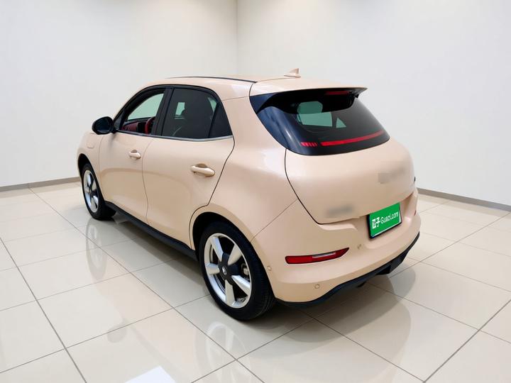 Good Cat 2021 400km Standard Range LFP photo 4