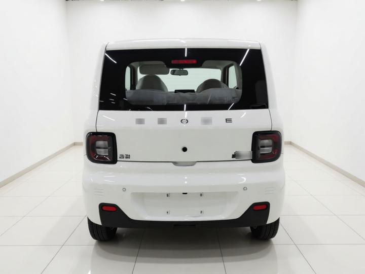 2024 Panda mini 200km Endurance Bear photo 3