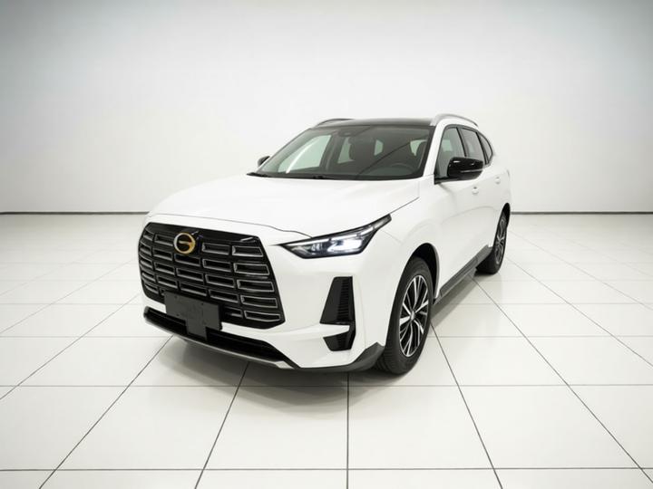 GAC Trumpchi GS4 2024 MAX 1.5T Pilot