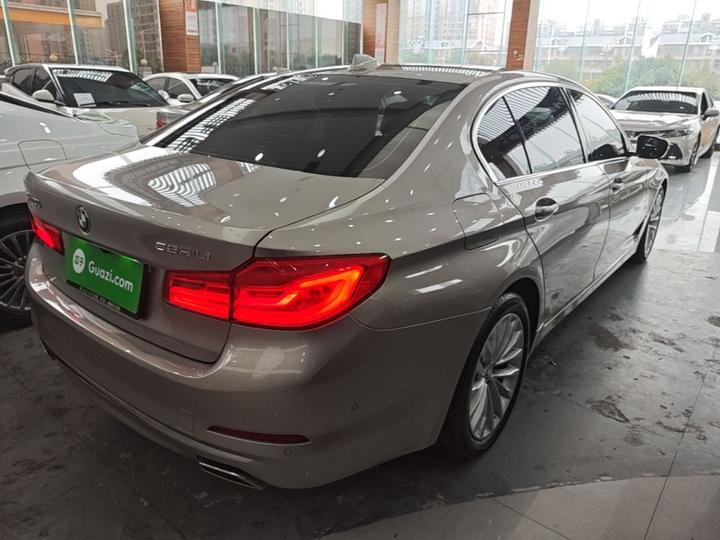 5 Series 2020 525Li Luxury photo 6