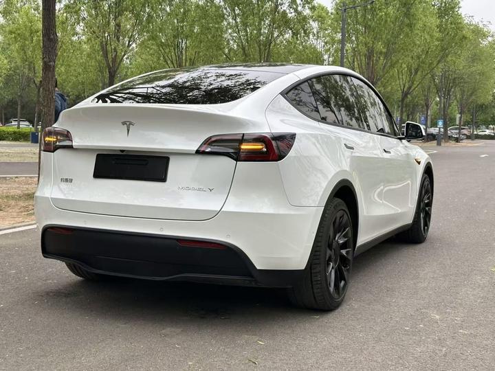 Model Y 2021 Long Range AWD photo 4