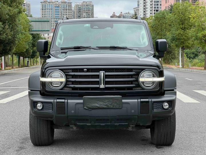 300 2021 Off-road 2.0T Conqueror photo 8