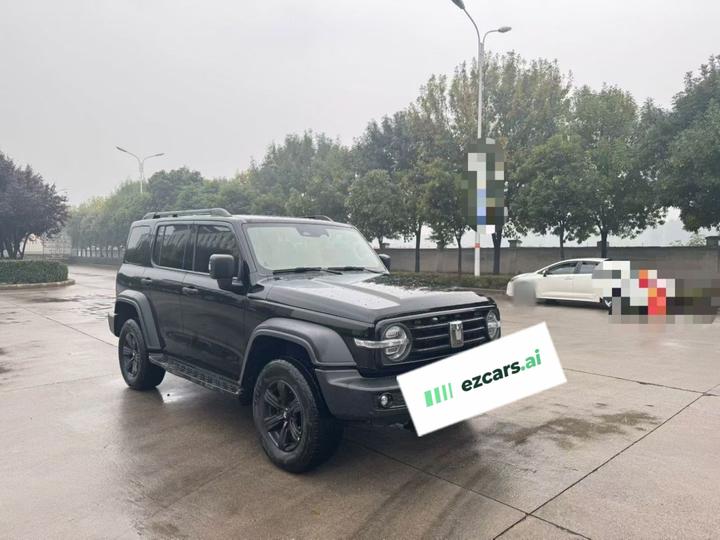 300 2021 Off-road 2.0T Conqueror photo 3